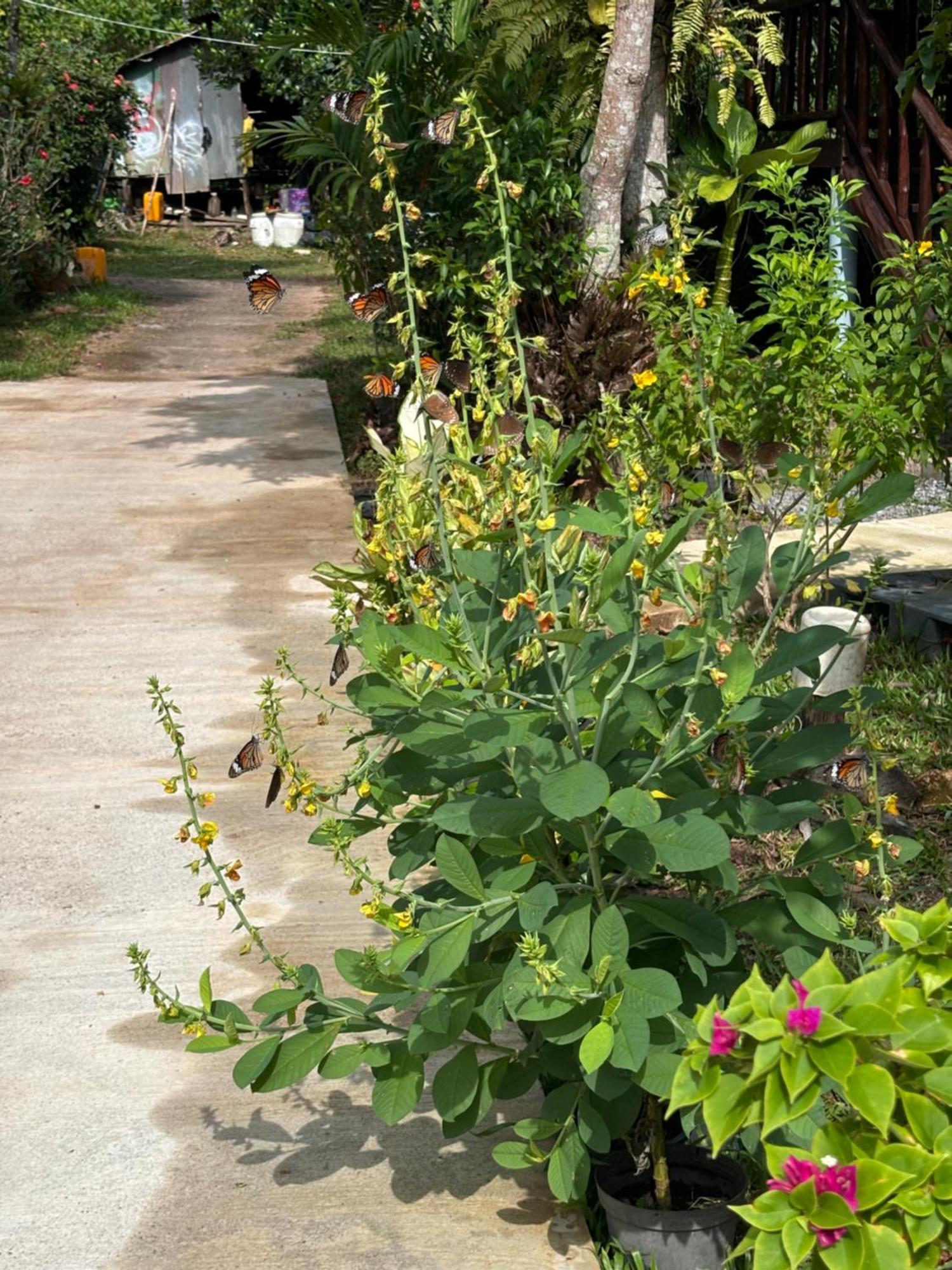 Mookdaman Bungalow Ko Yao Noi Dış mekan fotoğraf