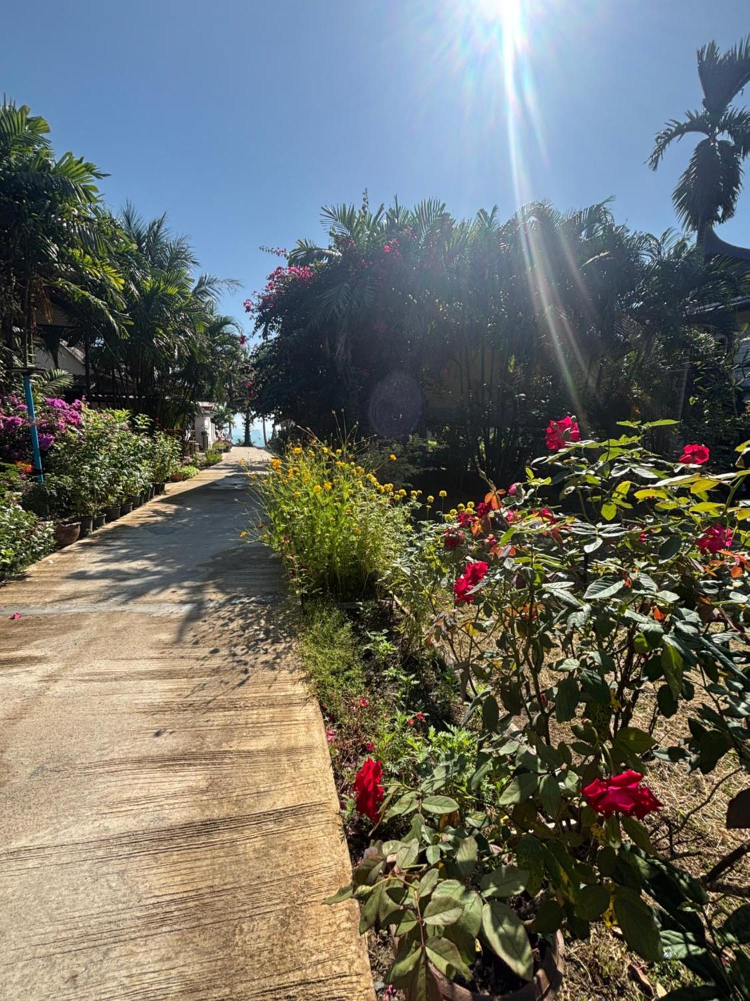 Mookdaman Bungalow Ko Yao Noi Dış mekan fotoğraf